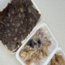 의정부 돌짜장 이미지