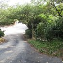 내리 이가네 이미지