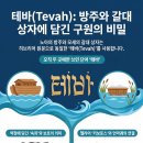 갈대상자와 방주 이미지