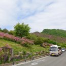 황매축산 | 합천 황매산 철쭉_꽃놀이 소풍 '22.5.9