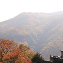 청량사 - 839 | 청량사