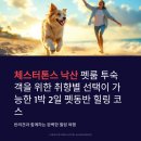 일박이일쓰리룸 | 반려견과 눈치 안 보는 낙산 펫동반 숙소｜카페·식당 포함 1박 2일