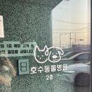 오남호수동물병원 이미지