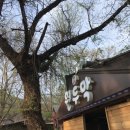 애룡원두막 이미지