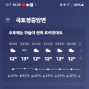 오늘 너구리 로드킬 가져와서 털 태우고 머리 내장 놔두고 몸통은 삶아서 먹으려고 이미지