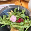 왕쭈꾸미 | [서오릉 맛집] 대가왕쭈꾸미 방문 후기 (쭈꾸미+피자 코스 솔직 리뷰) 꼭 가세요.