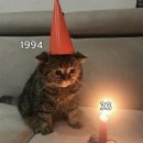 도연(到延)결혼정보 | [25.12.01-25.12.31] 오락가락도 락이다!