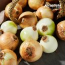 톡딜 무안 햇양파 3KG 5,900원 외 /23년 무안 햇시금치 2KG 9,500원~ 이미지