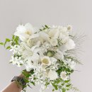 플레타플레르 이미지
