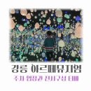 강릉 아기와 가기좋은 아르떼 뮤지엄 주차 입장권 관람시간 티바