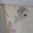 씨유 여수중앙하이츠점 | 여수 아파트 베란다 샷시 외부 실리콘 코킹 작업 업체 완전 정비 작업 후기 (1부)