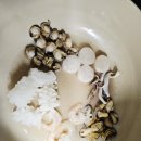 임가네해물촌 | 임가네 해물촌 해물모듬 내돈내산 해물찜 파스타