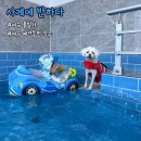 사계에반하다 2 | 여수 애견동반 숙소 사계에반하다 - 가족여행 추천