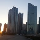 미포숲