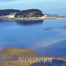 (주)대전수질 이미지