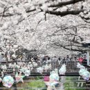 진해구 ⓒ-4 이미지