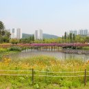 부산시민공원 이미지