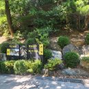 라온(지하매점) | 아이랑 광명동굴 가는방법 입장료할인 공룡탐험전 다이노포레스트 후기