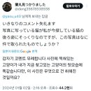 트위터에 올라온 사진한장으로 지진으로 잃어버린 고양이를 찾은 일본인 이미지