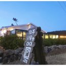 제주키즈풀빌라 나무와 아이 이미지