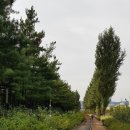 경춘선솔밭길 이미지