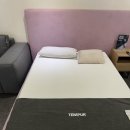 모델라인 | 허리 뻐근해서 찾아간 대구 템퍼 침대 후기