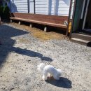 시드니펜션 이미지