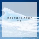 뉴로필라테스 - 동대문구 사가정로25길 28-1 | 뉴로필라테스