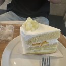 레드 컴퍼니 | 영등포 케이크 맛집 쉐프조 망고케이크 예약 후기,문래본점 vs 영등포구청점 솔직 비교