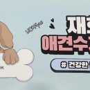 재화애견수제간식 이미지