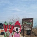유영농장 네이버블로그