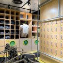 칸스토리 | 호주 브리즈번 여행 가볼만한곳 스토리 브릿지 클라임 리얼 체험 후기