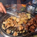 88소곱탄 군자점 | 군자맛집에서 즐긴 소곱창, 감성까지 잡은 88소곱탄 군자점 후기