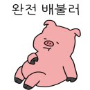 왕바우생고기