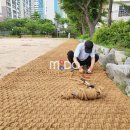 부흥중학교 이미지