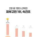 리드프레쉬