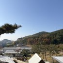 스테이제부 이미지