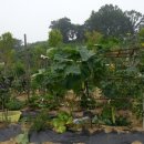 땅끝마을농장 이미지