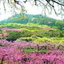 아름다운 인생의 완성 웰다잉 이미지