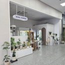 [용인] 고림동 꽃이 필요한 날 '우아플라워' 꽃집 솔직 방문 후기