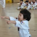 선라이즈 태권도 이미지