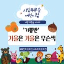 시립별숲어린이집 | “기쁨반 가을 색깔 탐색놀이, 단풍빛으로 물든 하루” 경기도 용인 신봉동 시립푸른숲어린이집