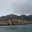 흑산도홍어회 이미지