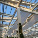 명동밀리오레 비엠호텔 | 명동 예식장 밀리오레호텔 온즈드롬 하객후기