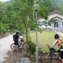 월매리(경북대부속학술림) 이미지