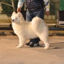 클라우드스타