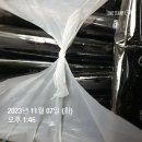 즉석김식당
