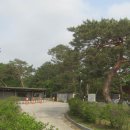 동구릉 이미지