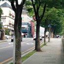 물푸레공인중개사사무소 이미지