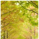 이화민박 이미지